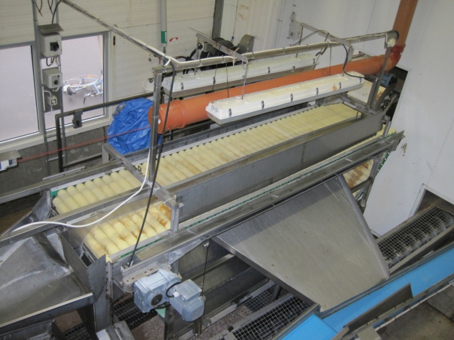 3662 Complete Potato Processing line