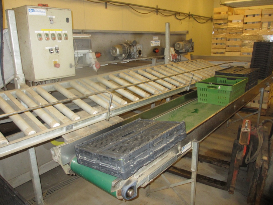 3705 Briand Sallatstvätt 