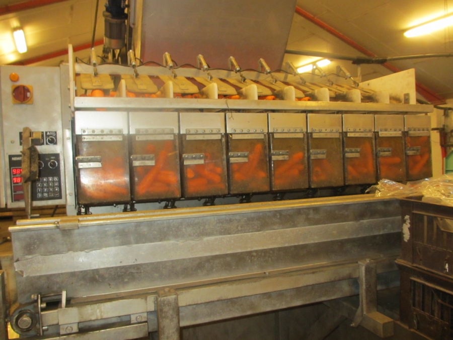 3844 Newtec 2009G Waage für Möhren / Kartoffeln