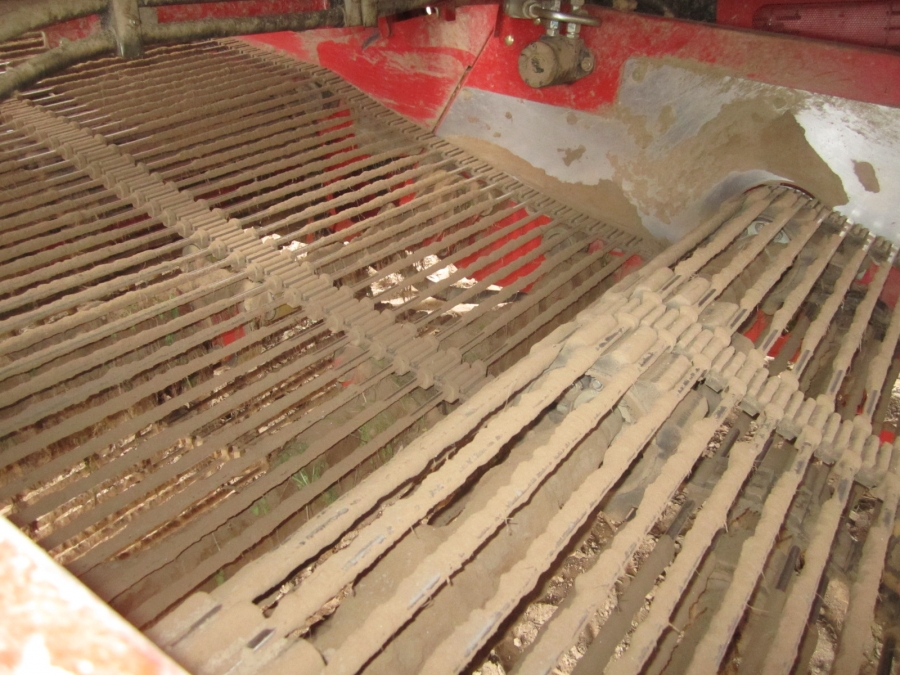 3862 Grimme SF150-60 UB XXL 2 Reihe Kartoffelroder mit Bunker 