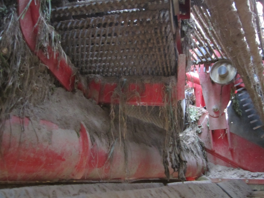 3862 Grimme SF150-60 UB XXL 2 Reihe Kartoffelroder mit Bunker 