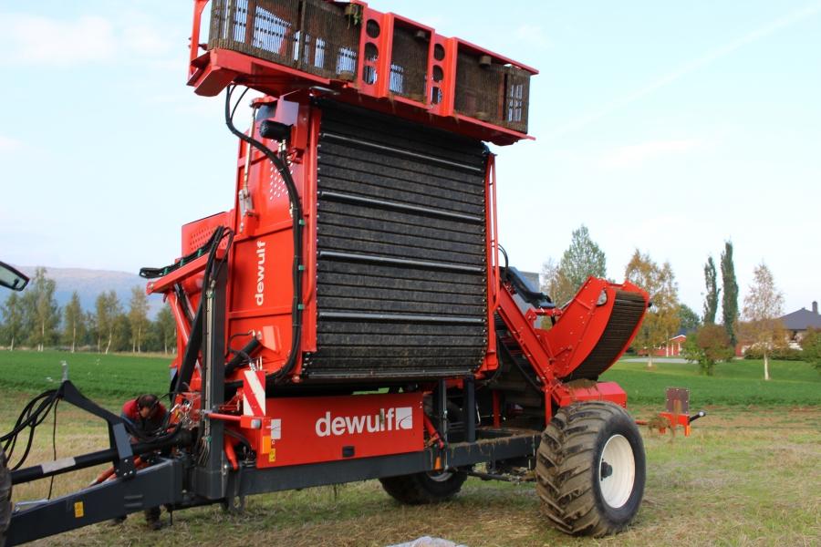 3970 DEWULF GBC carrot harvester with bunker