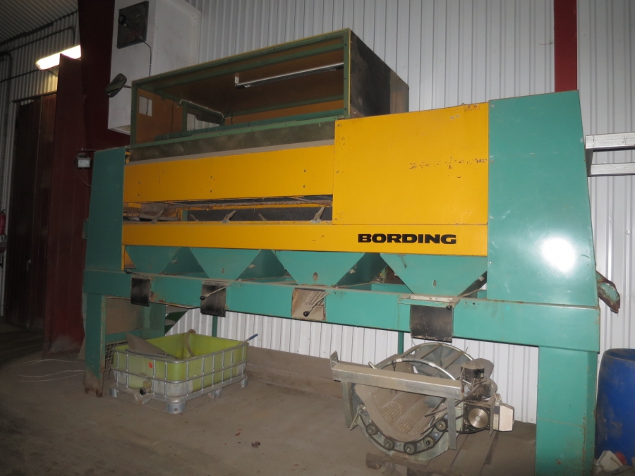 3984 Bording potatissorterare kombi