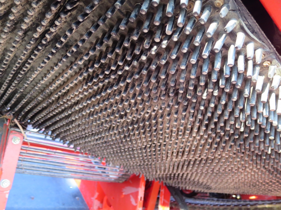 4036 Grimme SE75-20 potatisupptagare