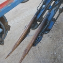 4641 Asa-Lift T-140B carrot harvester 4 ton bunker