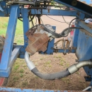 4780 Asa-Lift ST 1200 1 row carrot harvester