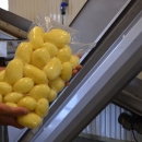 4891 PPM peeling line for potato