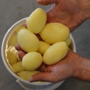 4891 PPM peeling line for potato