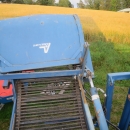5076 Asa-lift carrot harvester with auto box filling