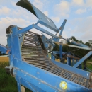5076 Asa-lift carrot harvester with auto box filling