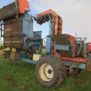 5083 Asa-Lift carrot harvester T-140B