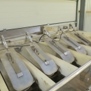 5211 Newtec 2009XB weigher for potato, onion etc