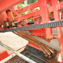 5287 Dewulf GBC carrot harvester with bunker