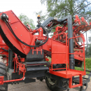 5287 Dewulf GBC carrot harvester with bunker