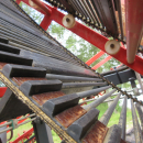 5287 Dewulf GBC carrot harvester with bunker