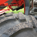 5287 Dewulf GBC carrot harvester with bunker