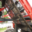 5287 Dewulf GBC carrot harvester with bunker