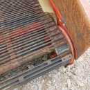 5287 Dewulf GBC carrot harvester with bunker