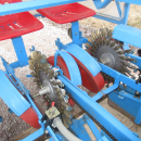 5345 Monosem super prefer transplanter 3 row for small trees, leek 