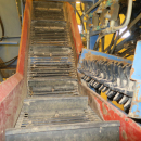 5490 Asa-Lift carrot harvester with bunker