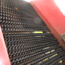 5501 Asa-Lift carrot harvester T90B with bunker