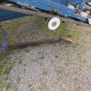 5501 Asa-Lift carrot harvester T90B with bunker