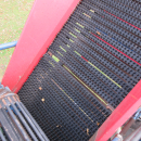 5501 Asa-Lift carrot harvester T90B with bunker