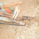 5940 Asa-Lift carrot harvester with roller table