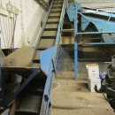 3394 EMVE carrot grading and inspection line