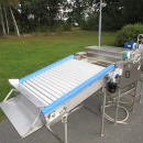 6054 Zumex Food Engineering washing line for citrus