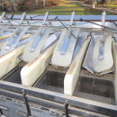 6072 Newtec 2012XBG weigher for carrot and potato