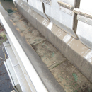 6072 Newtec 2012XBG weigher for carrot and potato
