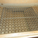 6293 Skals and EMVE grading line for potato