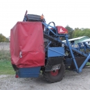3668 Asa-Lift carrot harvester with elevator 2 row