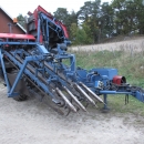3668 Asa-Lift carrot harvester with elevator 2 row