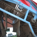 3668 Asa-Lift carrot harvester with elevator 2 row