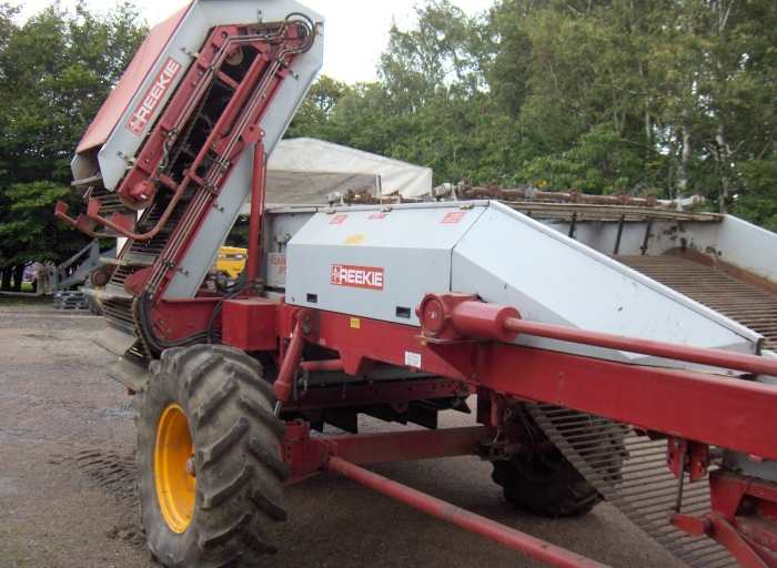 3044 REEKIE potato harvester 2 row with elevator