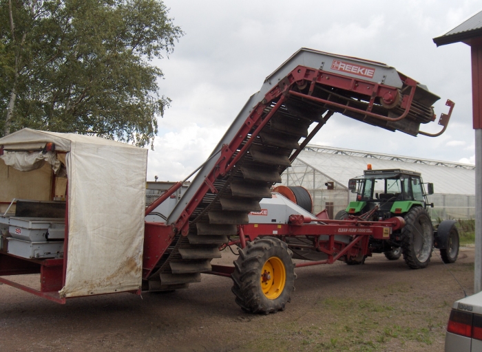3044 REEKIE potato harvester 2 row with elevator