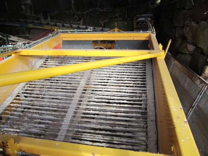3201 SAMON windrower to potato