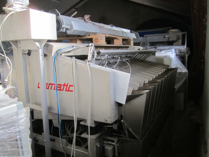 3381 Upmann weigher and tray packing line