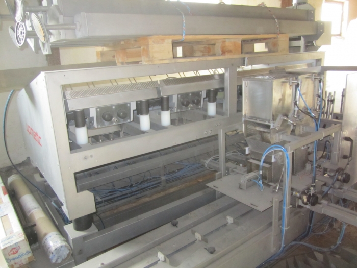 3381 Upmann weigher and tray packing line