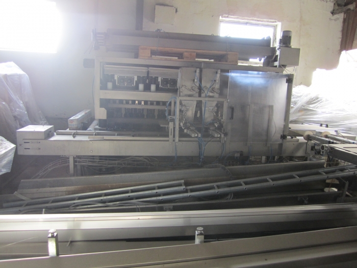 3381 Upmann weigher and tray packing line