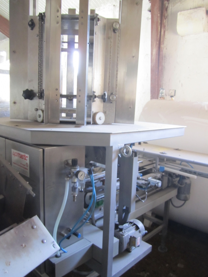 3381 Upmann weigher and tray packing line