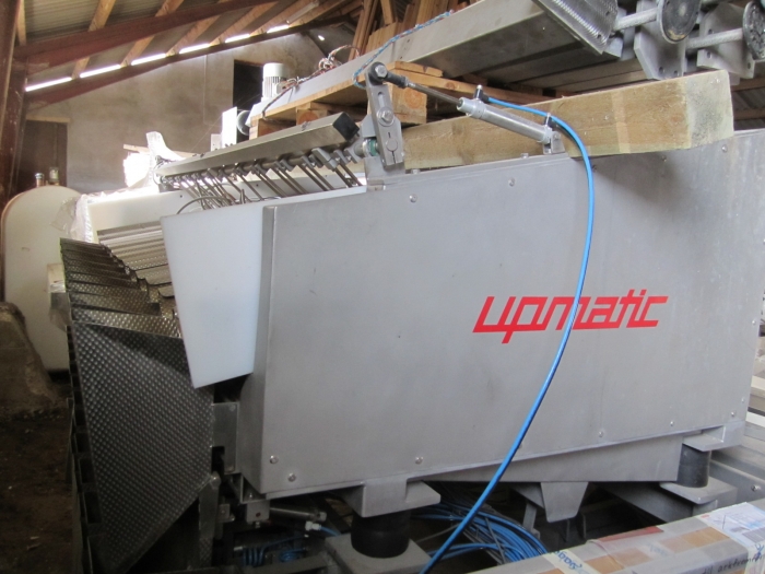 3381 Upmann weigher and tray packing line