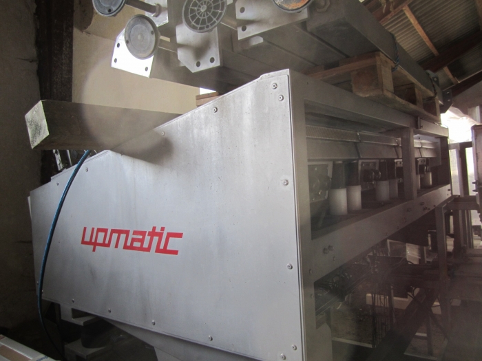 3381 Upmann weigher and tray packing line