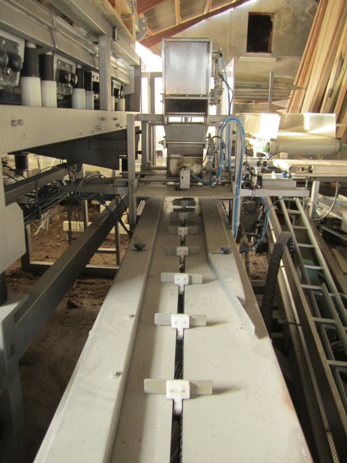3381 Upmann weigher and tray packing line