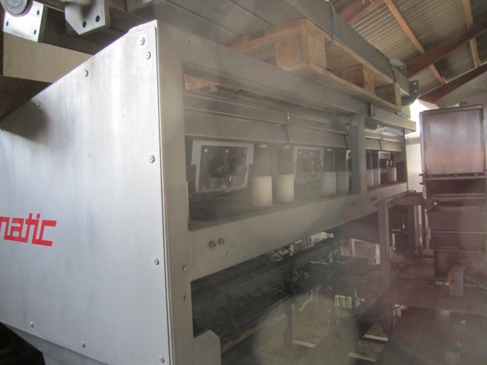 3381 Upmann weigher and tray packing line