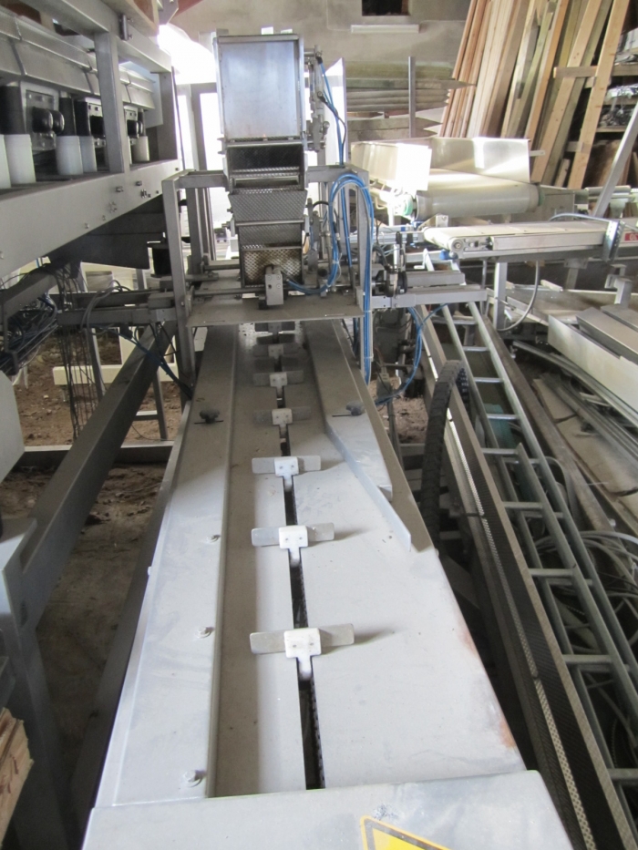 3381 Upmann weigher and tray packing line