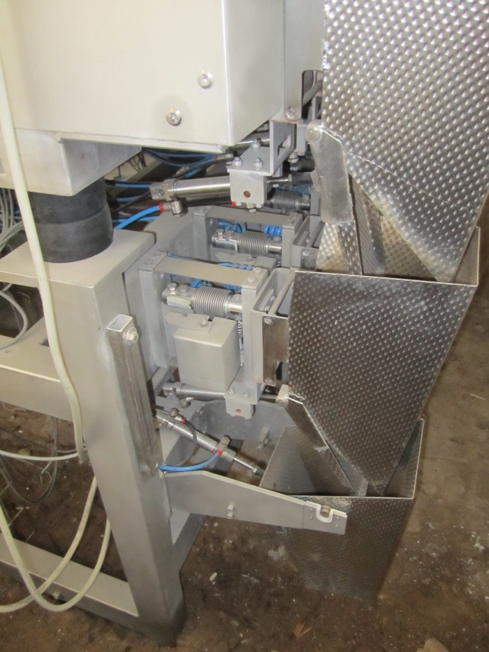 3381 Upmann weigher and tray packing line
