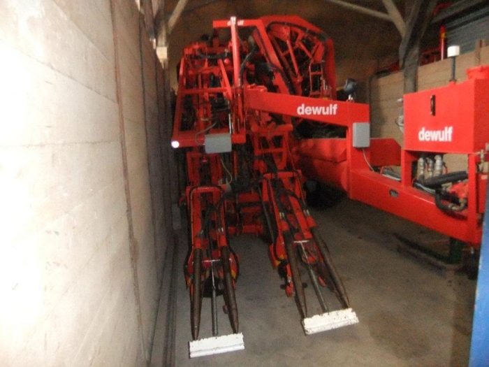 3460 Dewulf 2 row carrot harvester with elevator